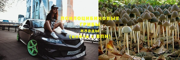 круглые Алзамай